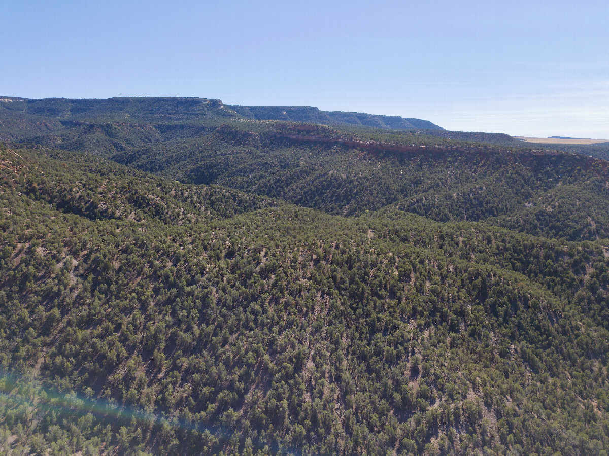 View South, from 120m above the point