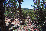 #4: View South