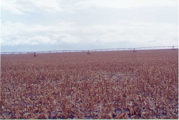 View from confluence to the south