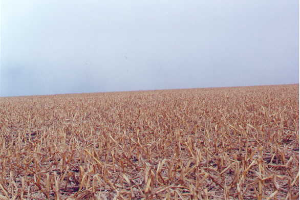 View to the north