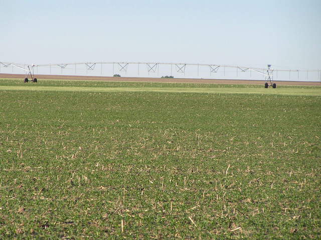 View to the south from the confluence.