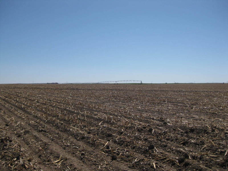 View to the east