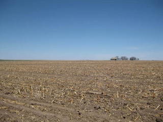 #1: Looking northwest at the site