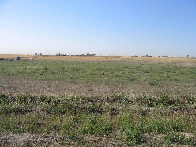 Looking to the South from the confluence