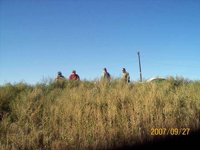 North view from below the berm with some team members