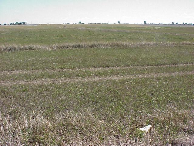 Confluence site of 40 North 105 West on the high plains of Colorado.