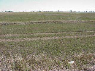 #1: Confluence site of 40 North 105 West on the high plains of Colorado.