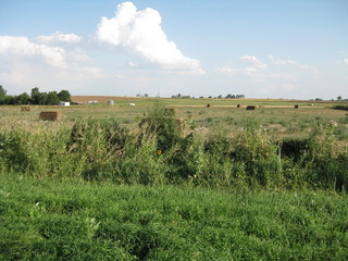 #1: View of the field.