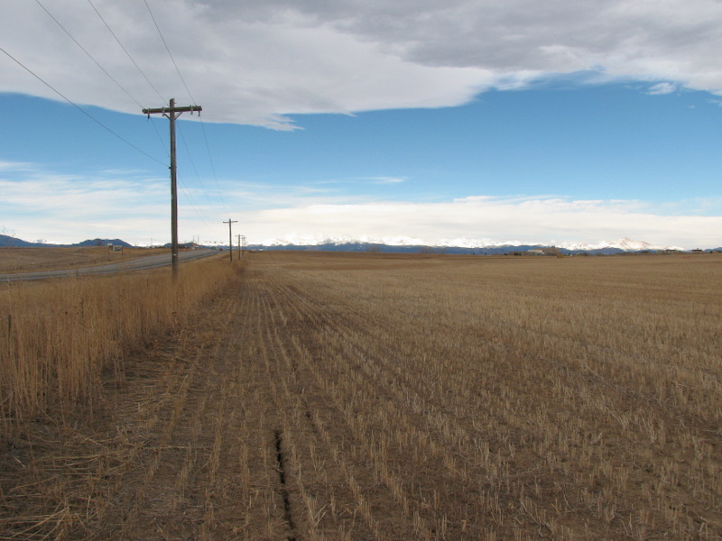 The field North of Baseline Road looking West towards the Rocky Mountains