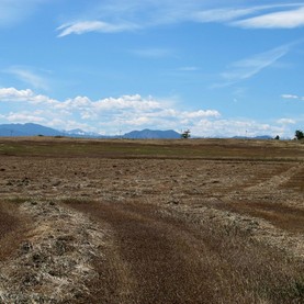 #1: Rocky Mountains in the distance in the view to the west.