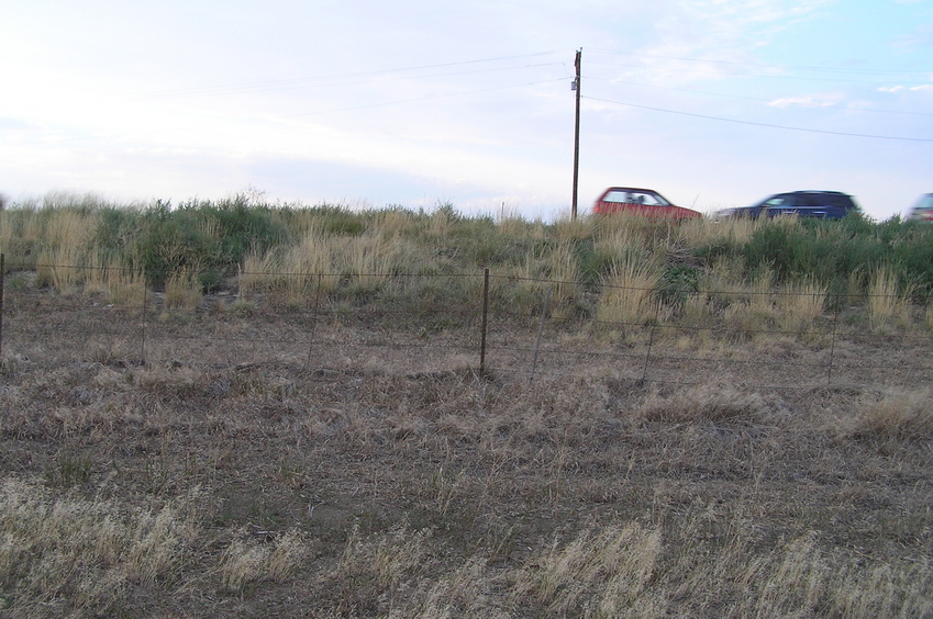 View to the north from the confluence site:  The road just 8 meters north of 40 North.