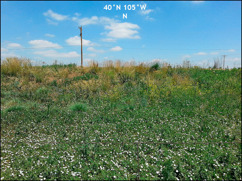 Looking N up small embankment