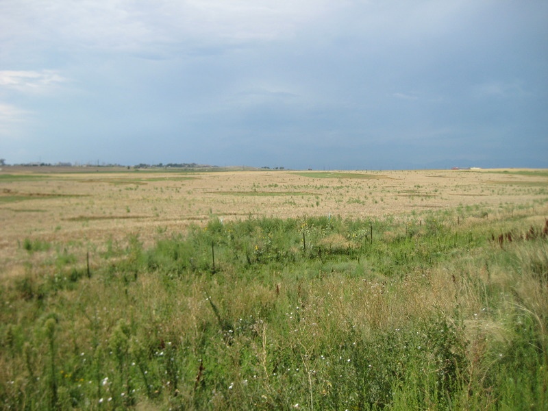 View of the confluence looking southwest from Baseline Rd.