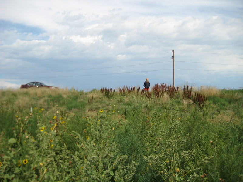 View to the north.