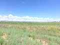 #3: Looking west in the field. 