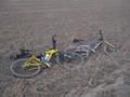 #5: Matt and Ben's mountain bikes.