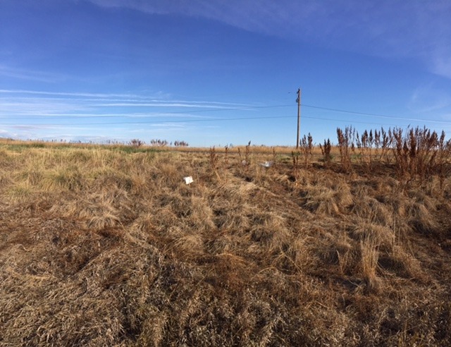 View to the north and State Road 7