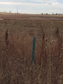 #4: The marker