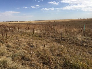 #1: View of the confluence of 40 North 105 West, in the mid-foreground, looking southeast.