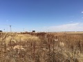 #3: View to the east from the confluence.