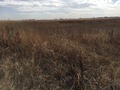 #5: View to the south from the confluence.