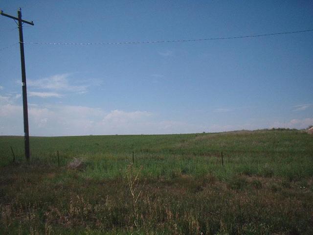 View to the north from the confluence