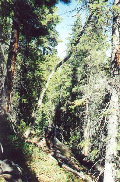 View of the confluence point