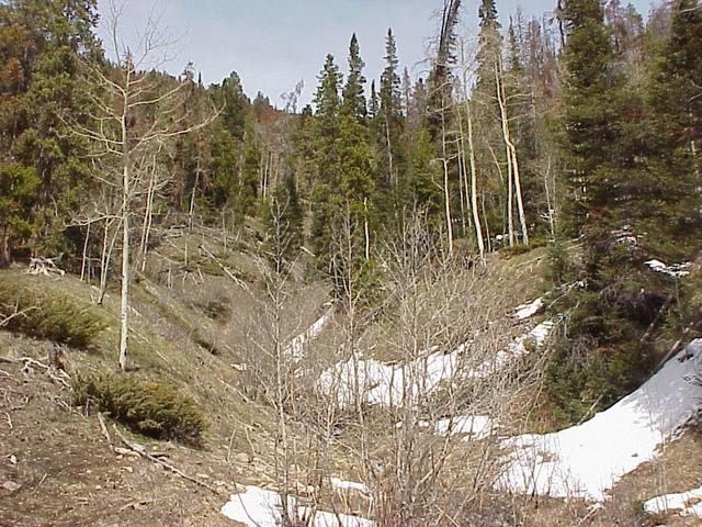 View to the east, up the Blue Ridge, toward the confluence.
