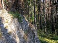 #6: Confluence rock:  40 meters west of confluence, looking north.