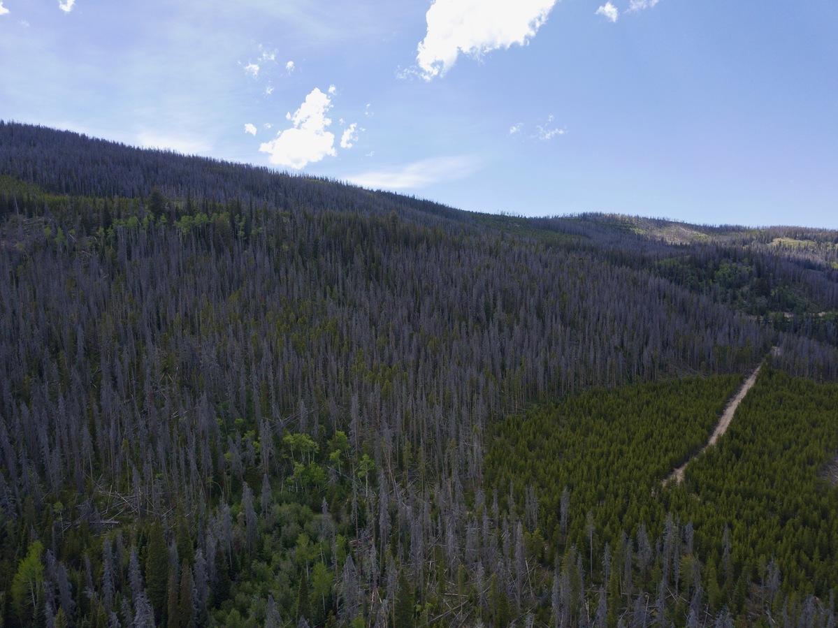 View West, from 120m above the point