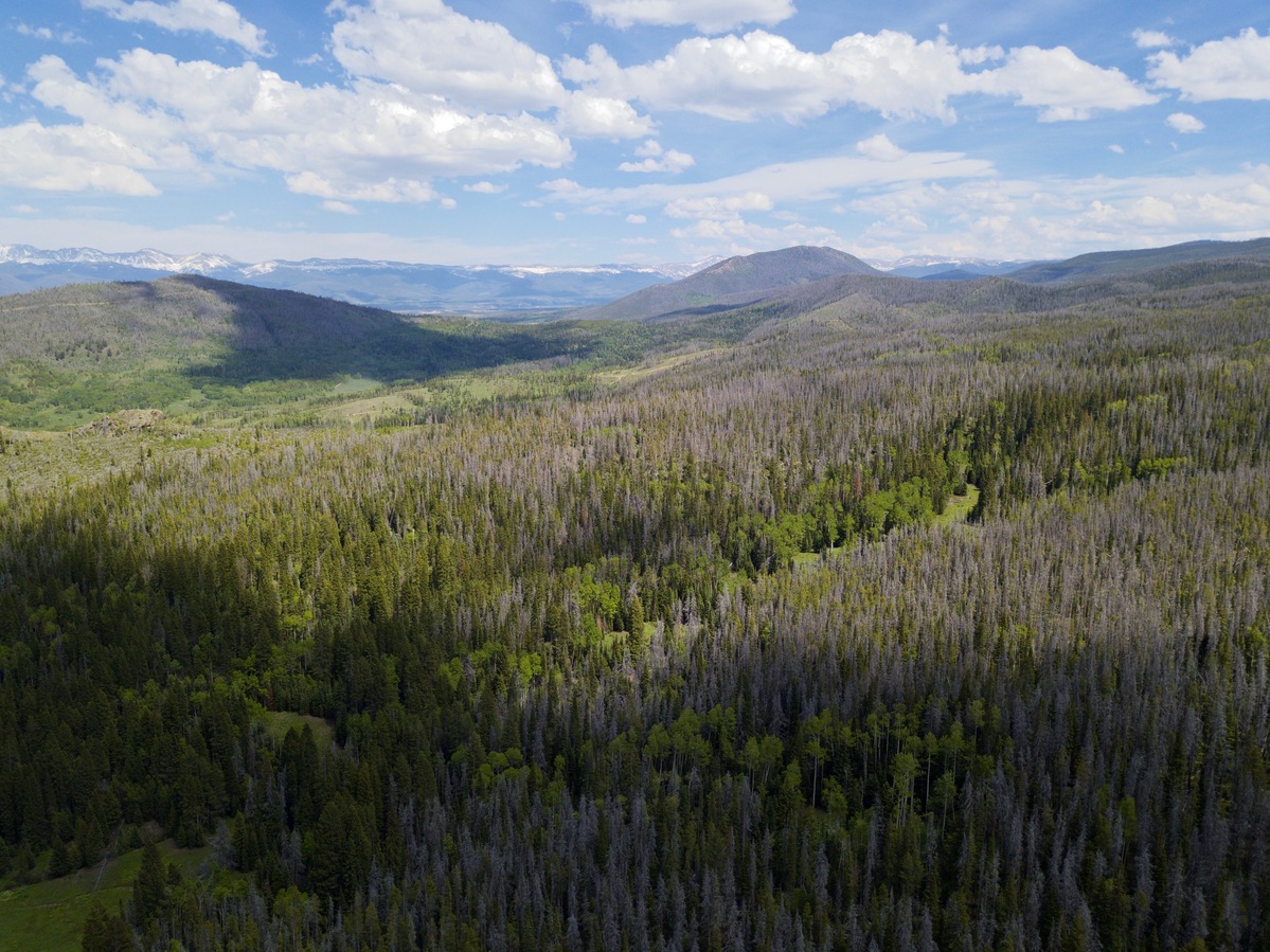 View East, from 120m above the point