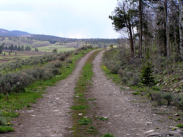 Four-wheel drive road I hiked on toward 40 North 107 West.