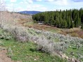 #3: View to the southeast from the furthest I reached on the trail.