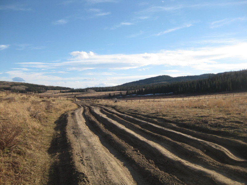 Crazy ruts under a setting sun heading south on FR 915