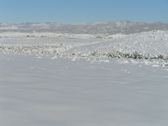 View to the north from the confluence.