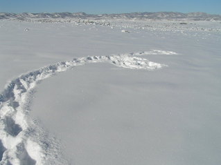 #1: Site of 40 North 108 West at the end of my tracks to the spot, looking northwest.