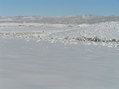 #8: View to the north from the confluence.