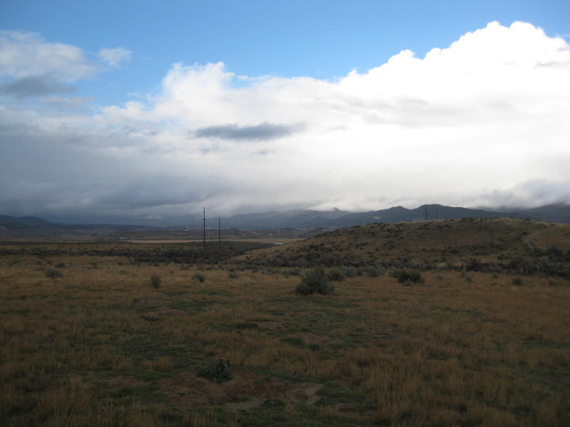 Looking northeast at the confluence in the foreground (near the drooping thistle and hole)