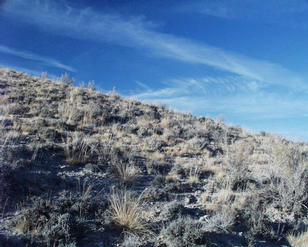 #1: looking north