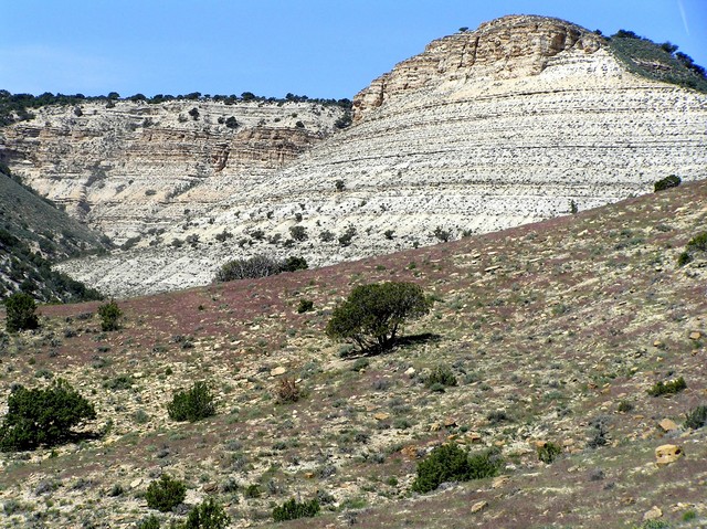 View to the west from the confluence of 40 North 109 West near the Colorado-Utah border.