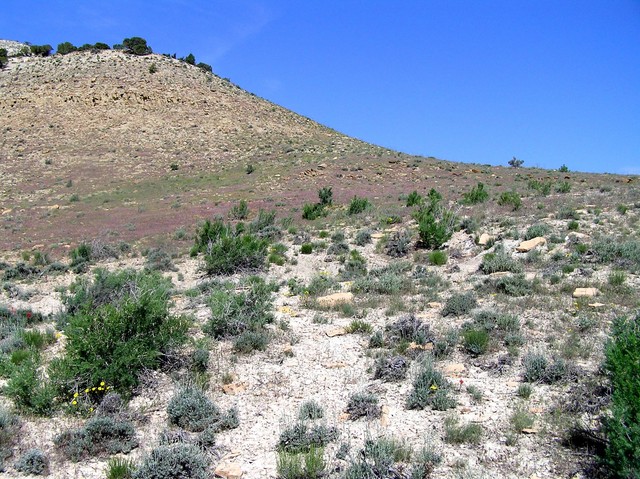 View to the north from the confluence.