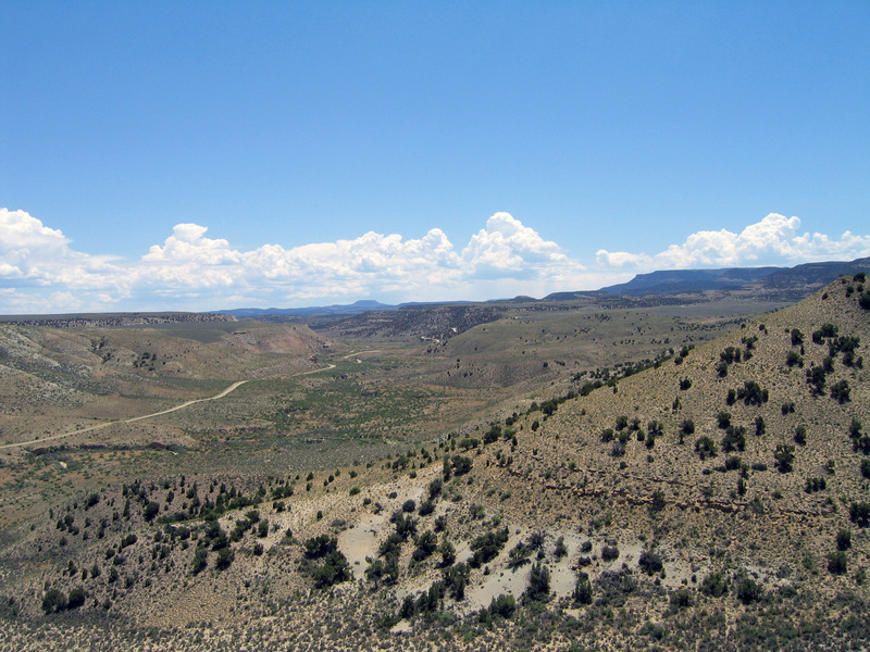 View south
