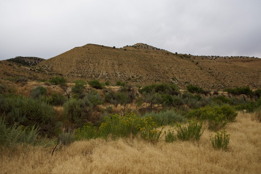 Looking across Cottonwood Creek to the point (0.2 miles away), on top of this hill