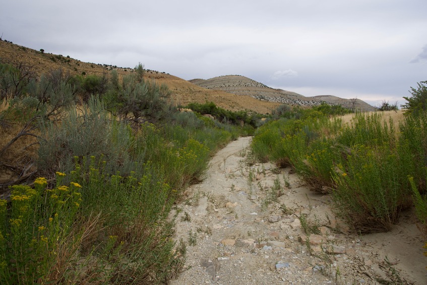 Cottonwood Creek was completely dry during my visit