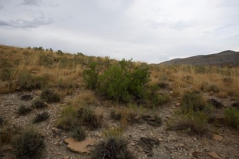 #1: View North