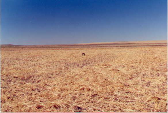 View of confluence, looking west