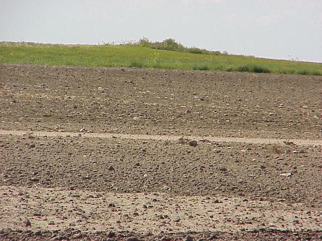 View to the west from the confluence.