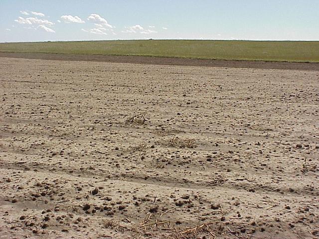 View to the south from the confluence.