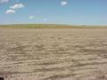 #2: View to the north from the confluence, looking from Colorado to Nebraska.