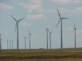 #8: Windfarm at Peetz, Colorado, closest town to the confluence.